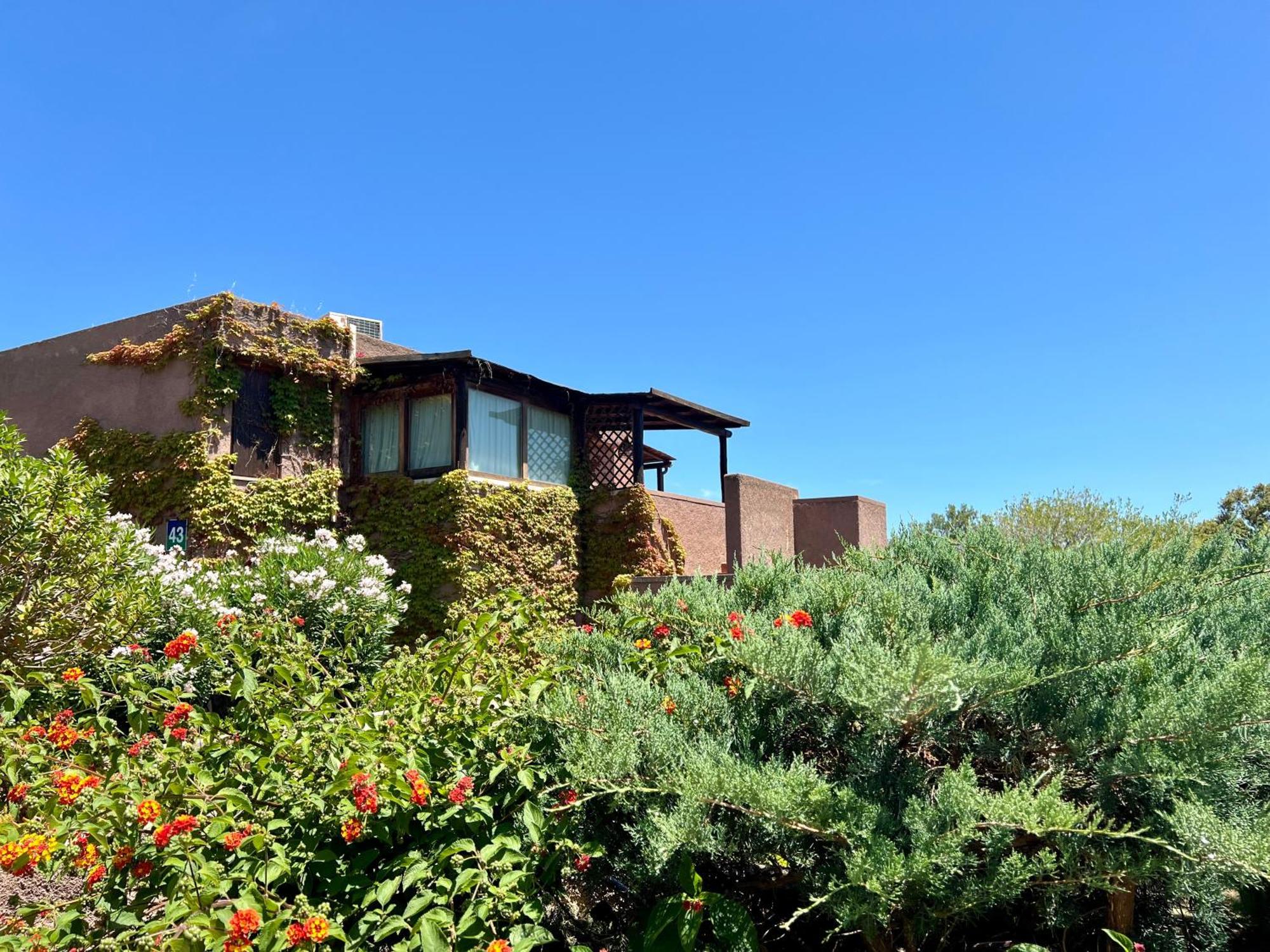 Valentina Home Costa Smeralda Vista Mar Cugnana Verde エクステリア 写真